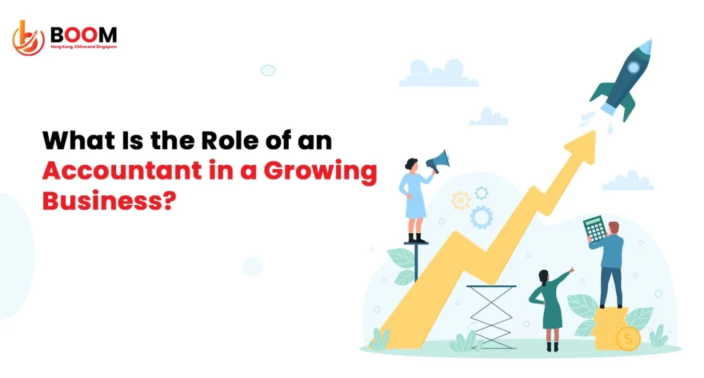 Role of an Accountant in a Growing Business